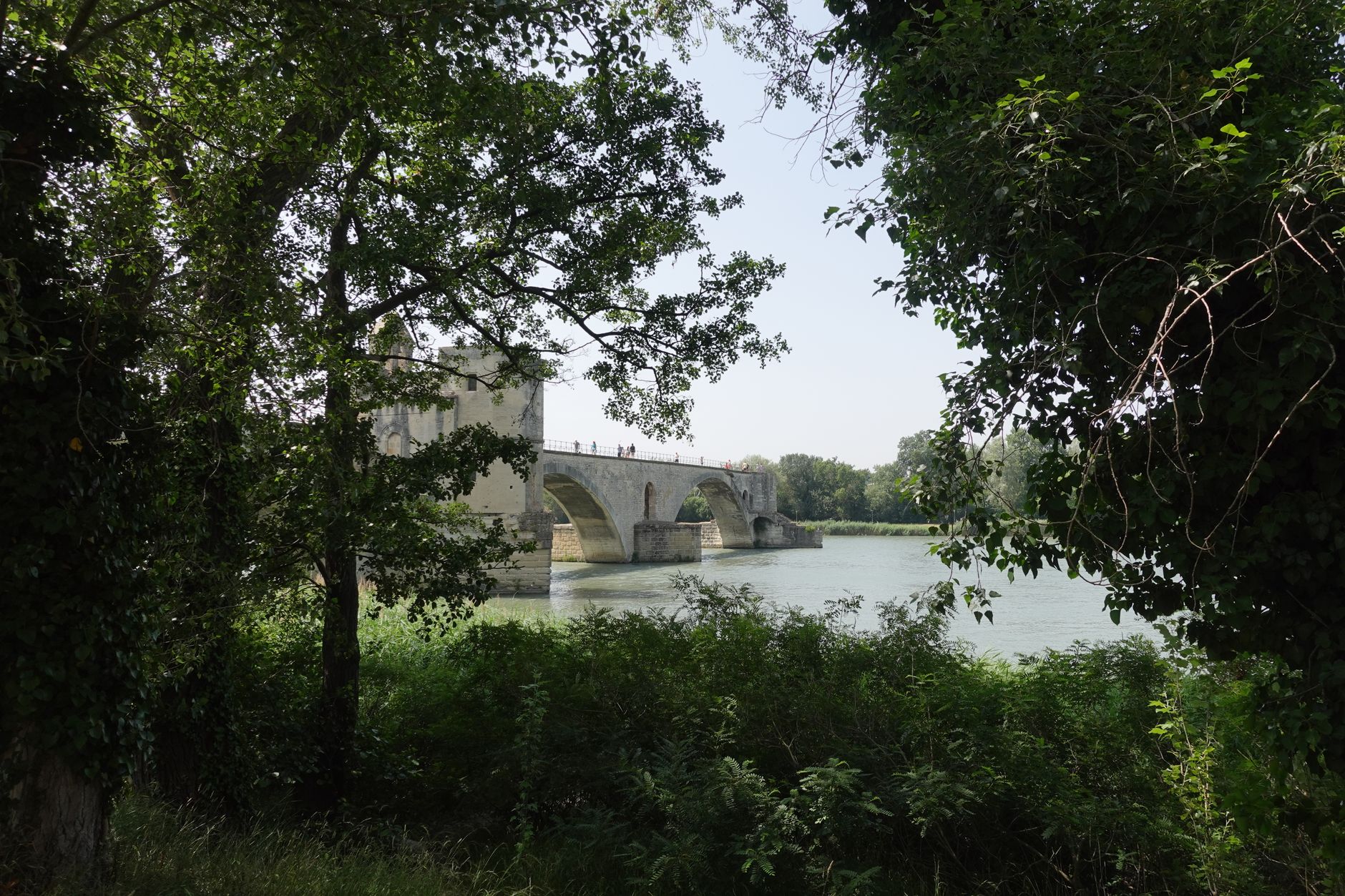 Référenceur Avignon - Avignon